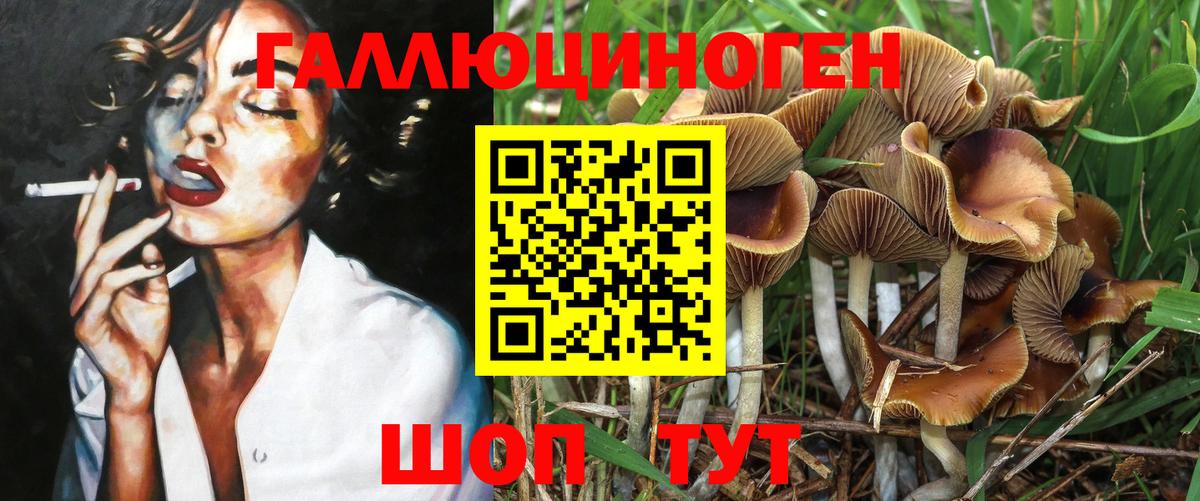 Галлюциногенные грибы Psilocybe  купить закладку  Орёл  Вход с VPN 